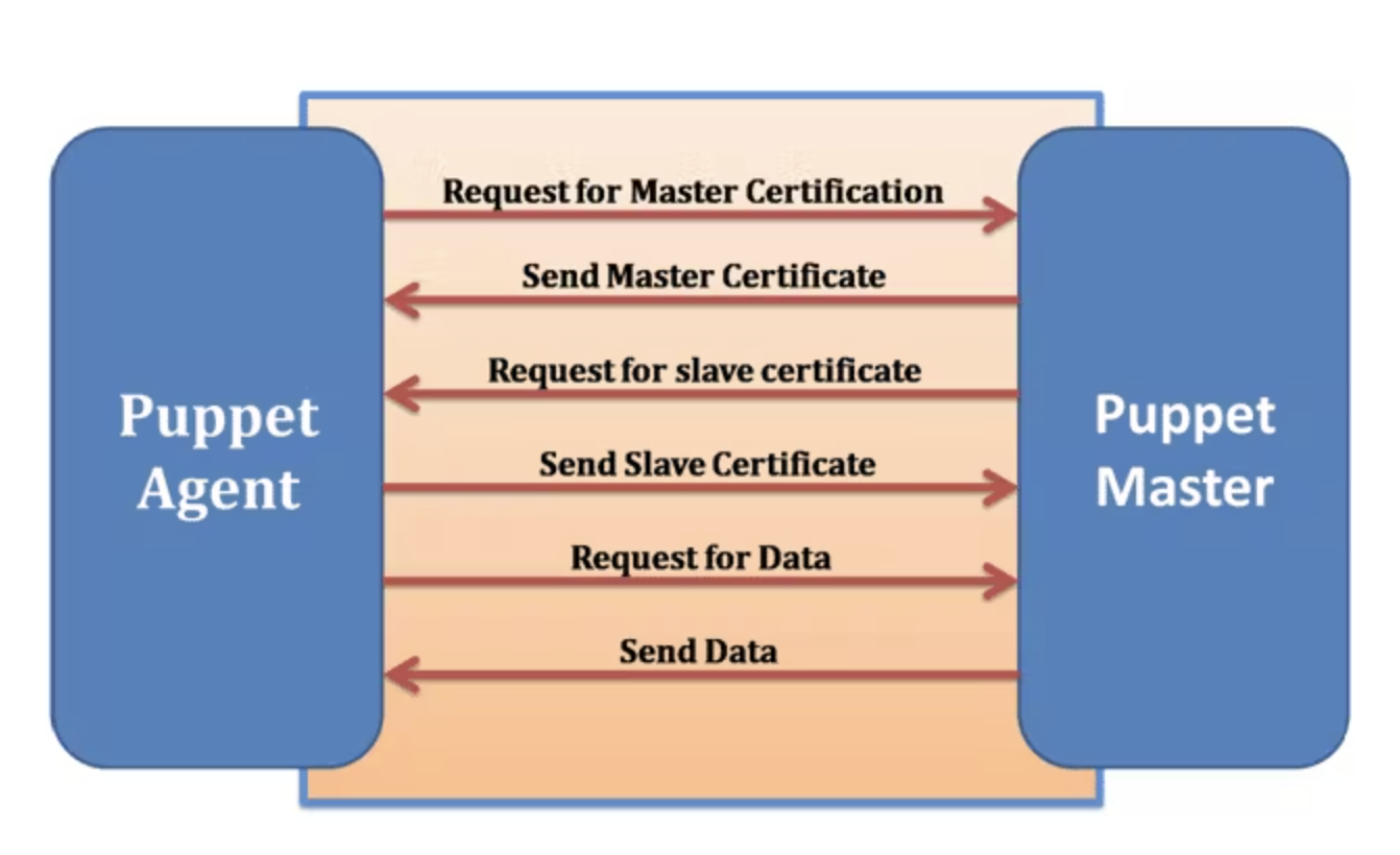 The Puppet daemon that runs on a target system (or node) is known as the Puppet agent. The agent must have the appropriate privileges for the node on which it is enabled so that it can apply the configuration catalogs that it pulls from the Puppet master. The agent gains communication privileges from the master server by requesting an Secure Socket Layer (SSL) certificate the first time that it contacts the master. Subsequently, whenever the agent polls the master for configuration updates, it only receives updates if its certificate is valid.  The Puppet agent that runs on each of the target nodes must have the ability to modify most aspects of the system's configuration. This requirement enforces the state in which the master has indicated the agent should be. Because so much access to the system is required by the puppet agent, it is run as the root user or a user who is assigned the Puppet Management rights profile.