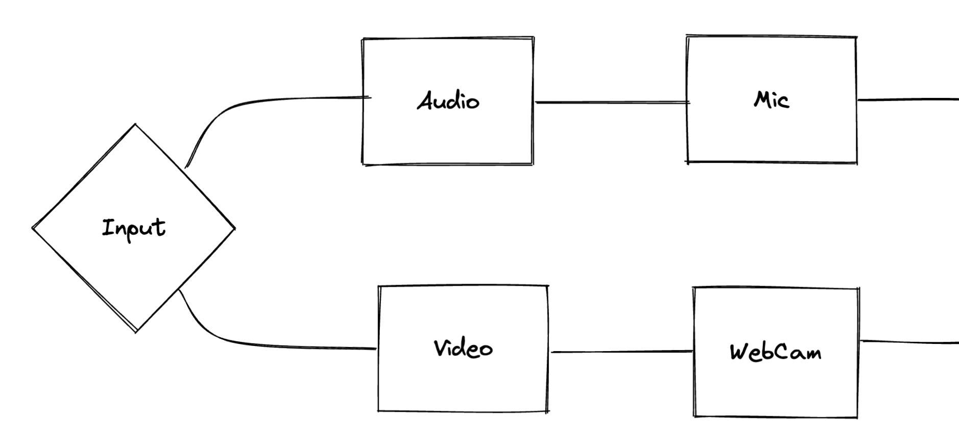 Flow diagram of the Input