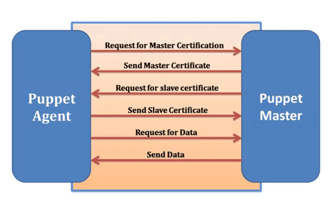 The Puppet daemon that runs on a target system (or node) is known as the Puppet agent. The agent must have the appropriate privileges for the node on which it is enabled so that it can apply the configuration catalogs that it pulls from the Puppet master. The agent gains communication privileges from the master server by requesting an Secure Socket Layer (SSL) certificate the first time that it contacts the master. Subsequently, whenever the agent polls the master for configuration updates, it only receives updates if its certificate is valid. The Puppet agent that runs on each of the target nodes must have the ability to modify most aspects of the system's configuration. This requirement enforces the state in which the master has indicated the agent should be. Because so much access to the system is required by the puppet agent, it is run as the root user or a user who is assigned the Puppet Management rights profile.