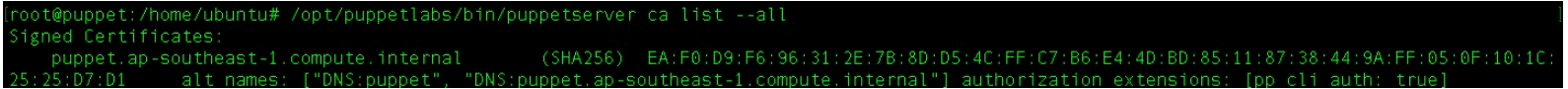wget https://apt.puppetlabs.com/puppet7-release-focal.deb #download puppet dpkg -i puppet7-release-focal.deb #Extract the above downloaded puppet apt-get update -y #update your machine apt-get install puppetserver -y #install the puppet server systemctl start puppetserver # Start the puppet server systemctl enable puppetserver. #Enable the puppet server /opt/puppetlabs/bin/puppetserver ca list --all #check the list of certificates to sign
