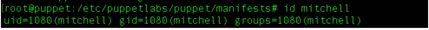 puppet user and group
