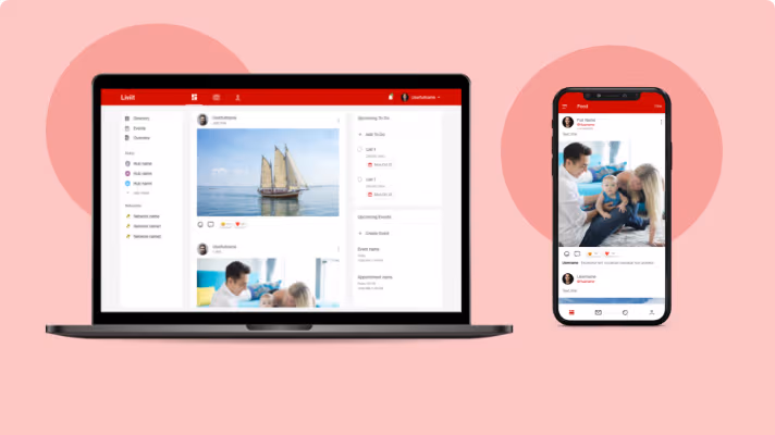 Social Media App For Liviit
